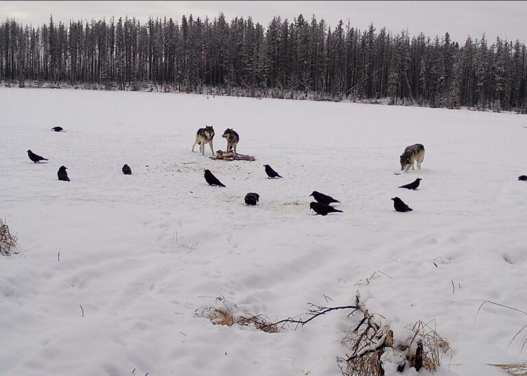 Basic t-shirt styled with accessories
