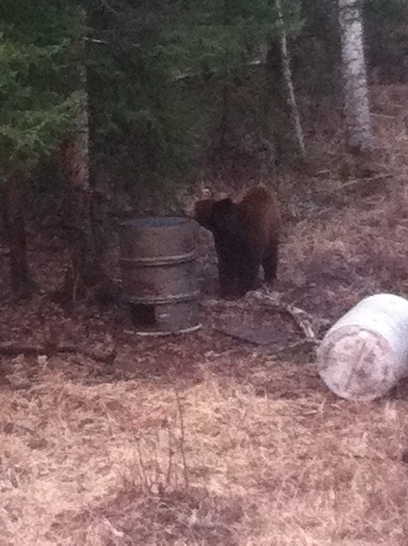 Sports active skirt in motion