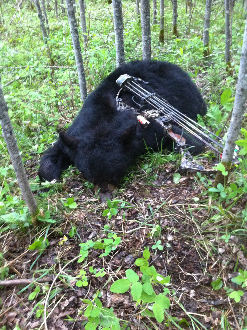 Sports active skirt in motion