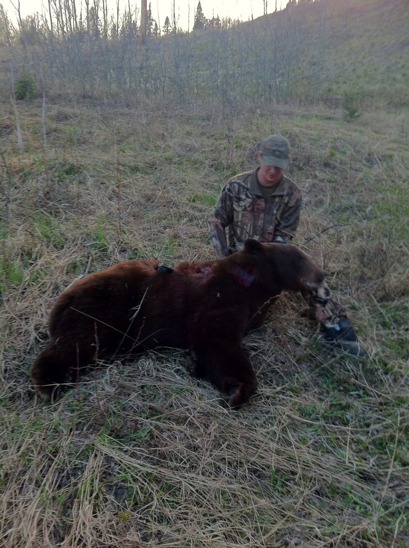 Close-up of classic sneaker design