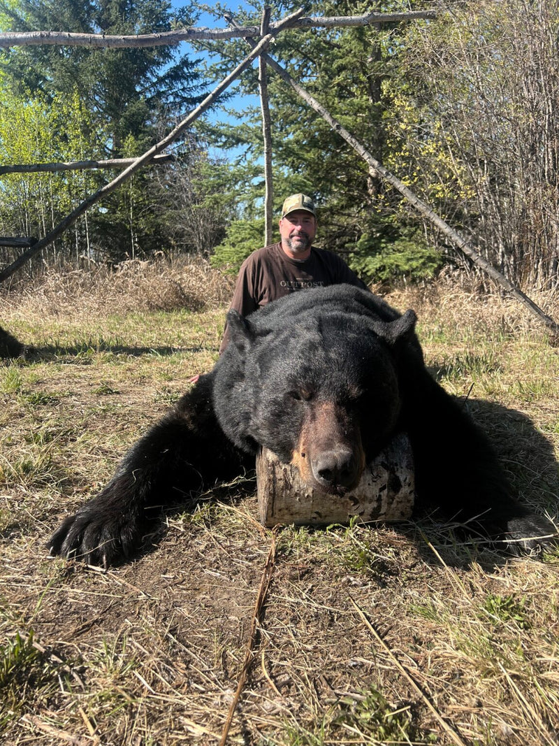 Basic t-shirt styled with accessories