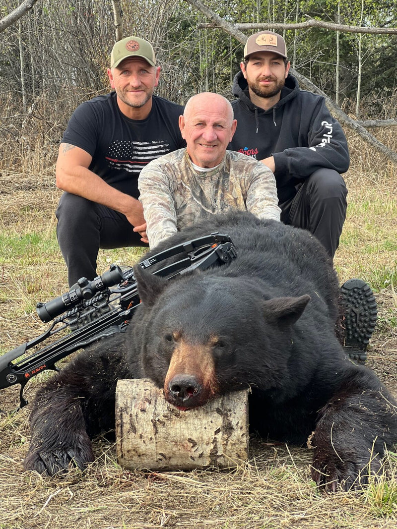 Close-up of classic sneaker design