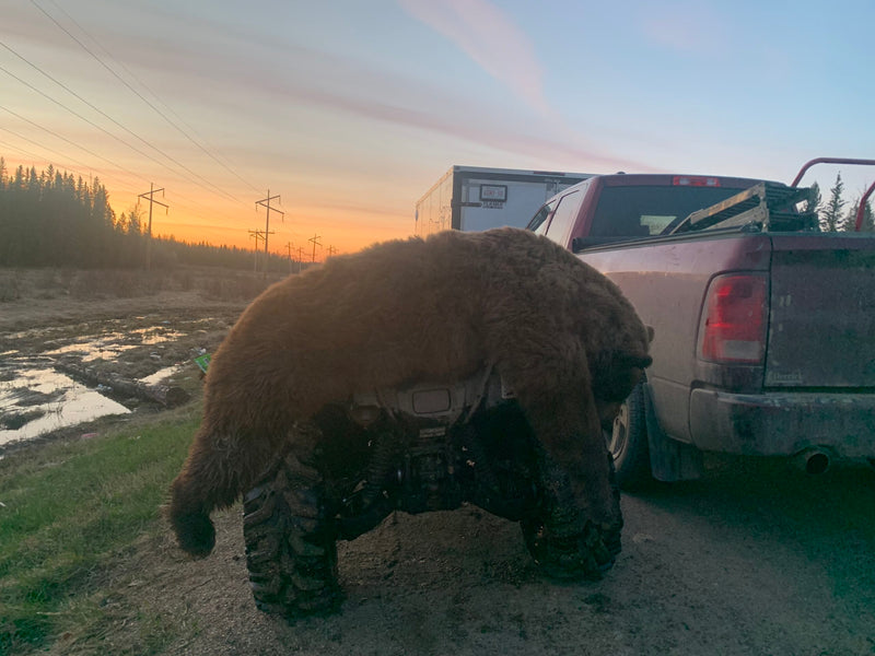 Maxi long dress in elegant setting