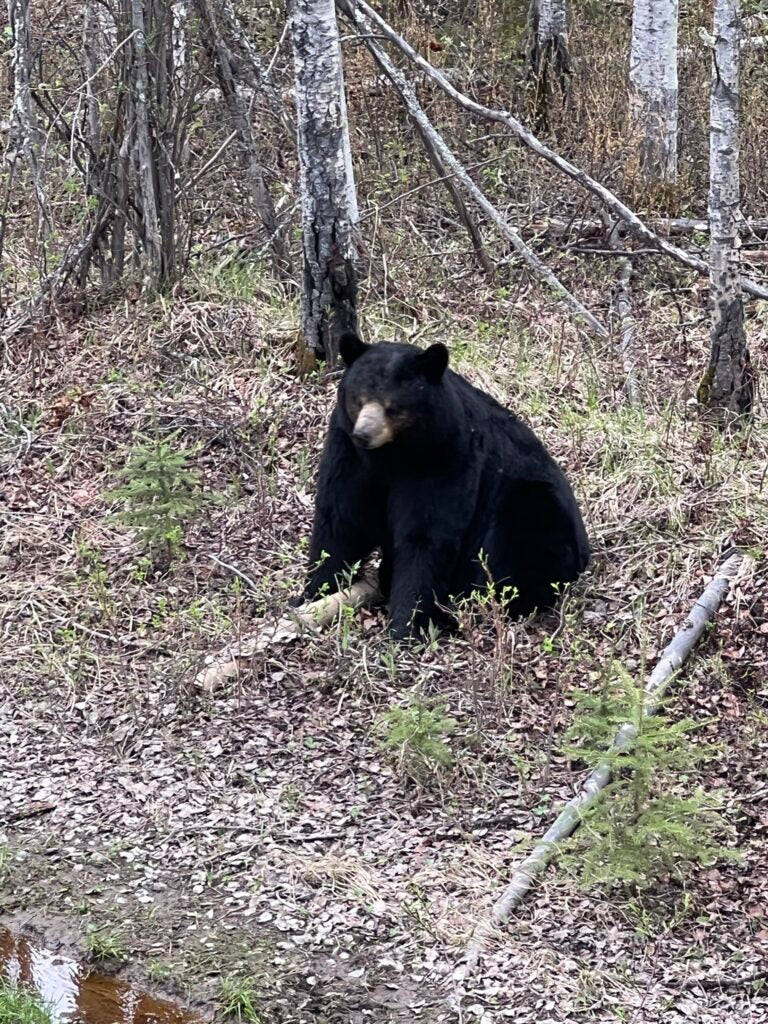 Sports active skirt in motion