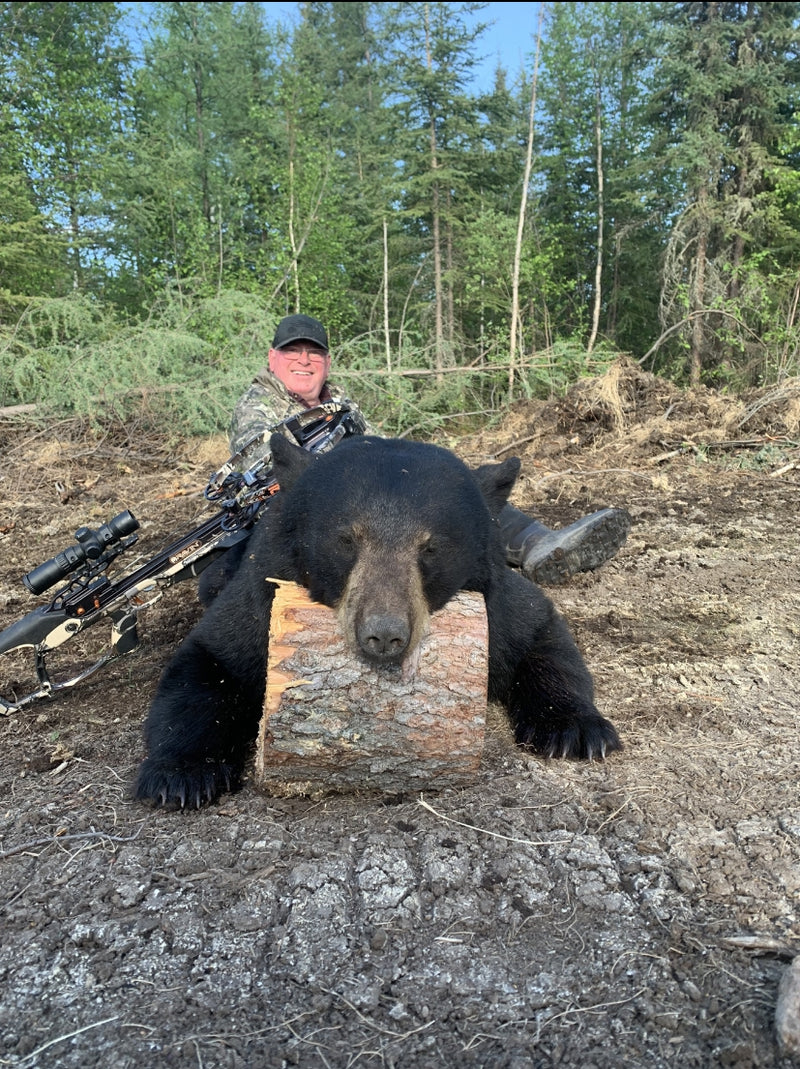 Close-up of classic sneaker design