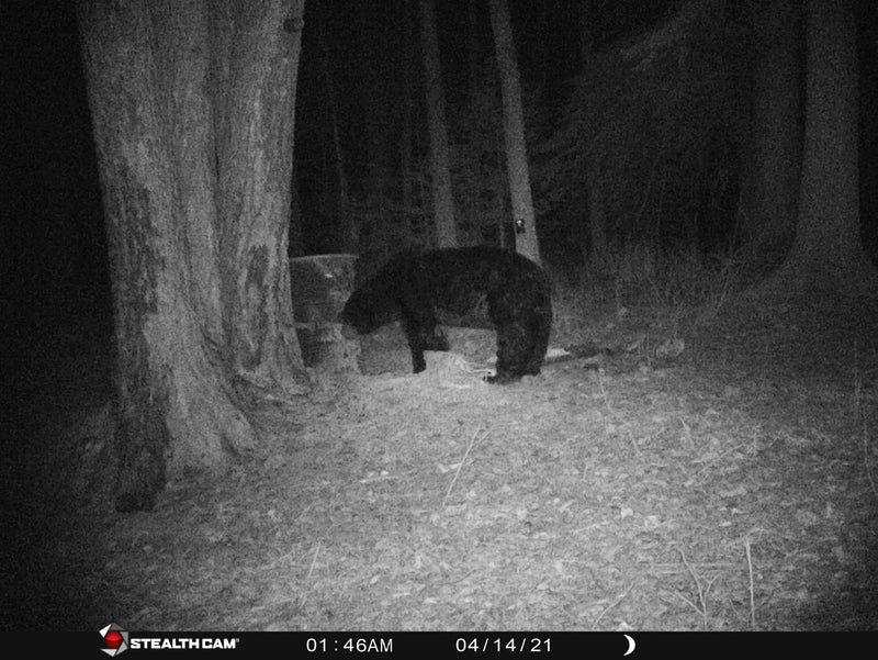 Sports active skirt in motion