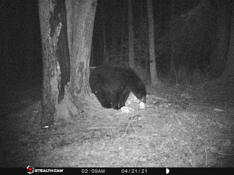 Sports active skirt in motion