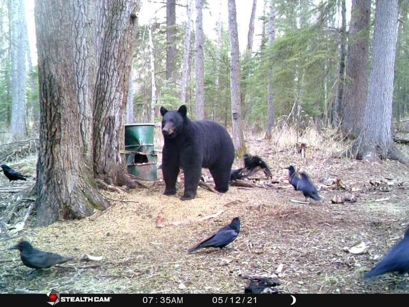 Sports active skirt in motion