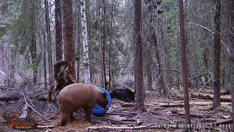 Sports active skirt in motion