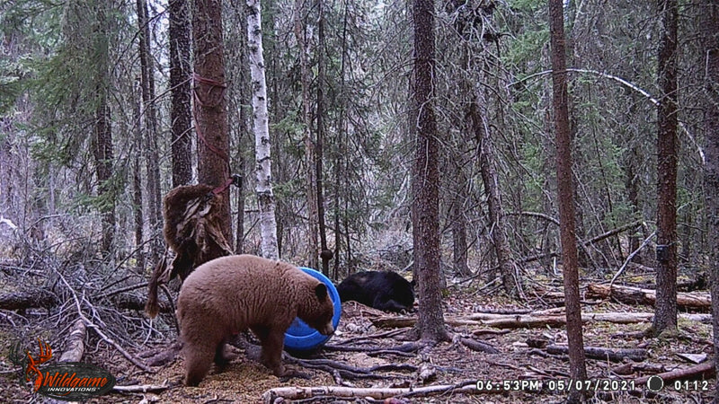 Sports active skirt in motion