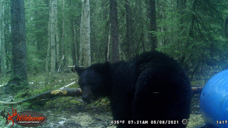 Sports active skirt in motion
