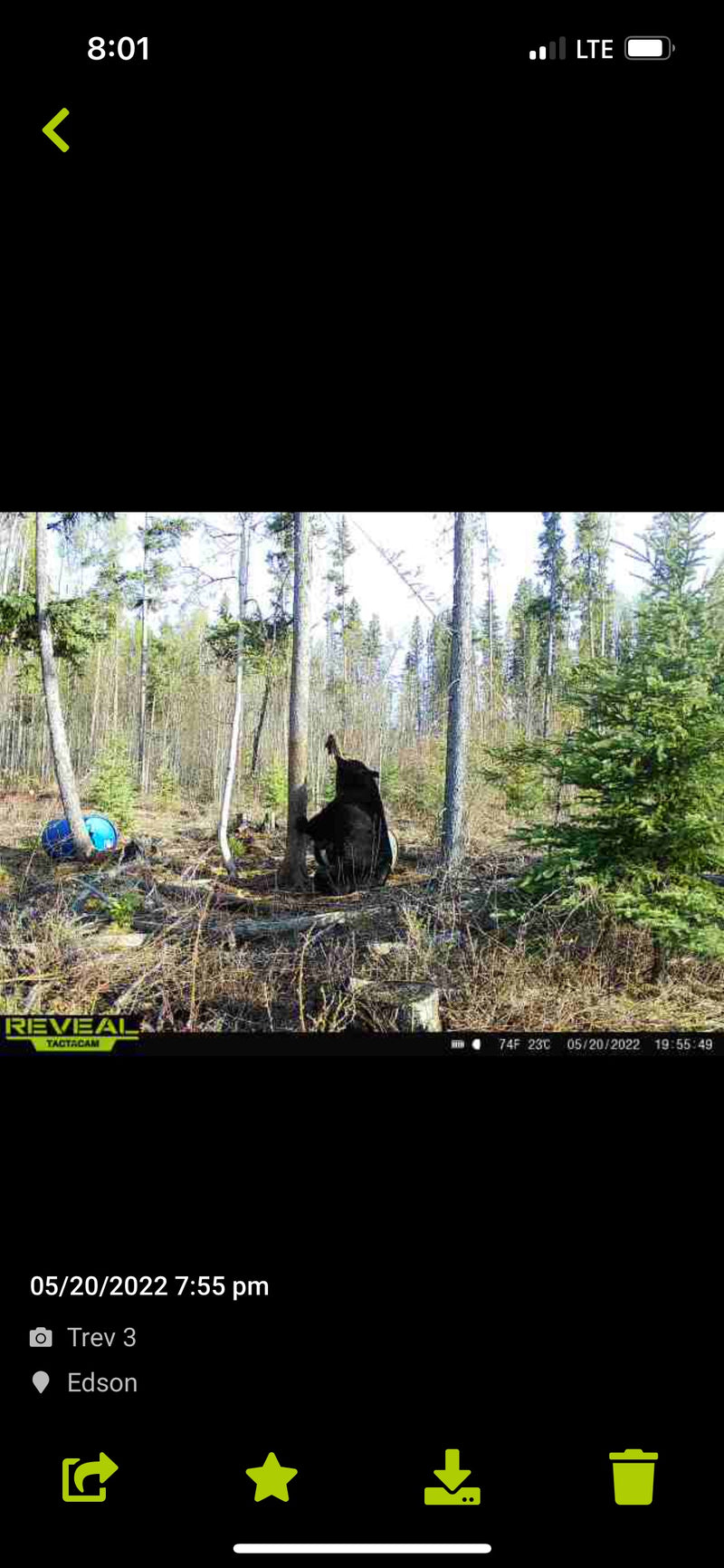 Basic t-shirt styled with accessories