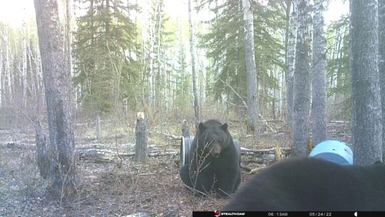 Model wearing classic jumper in neutral tones